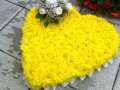 Yellow Heart